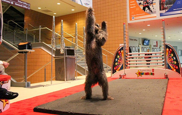 SuperDogs Contest Contestant