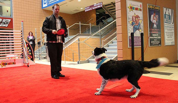 SuperDogs Contest Contestant