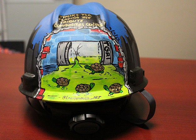 Teenage Mutant Ninja Turtles Hard Hat