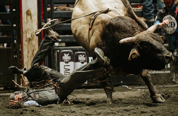 More Info for Oshawa Stampede