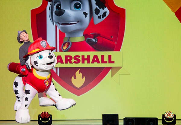 Paw Patrol Live